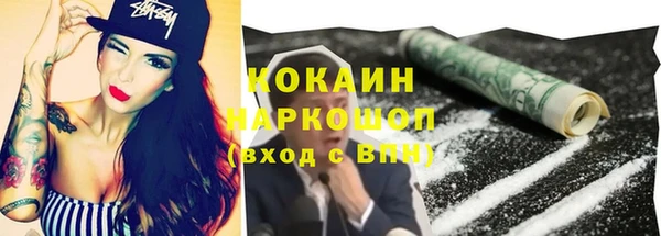 сатива Аркадак