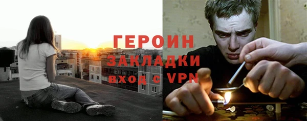 сатива Аркадак