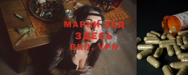 эйфоретик Осташков