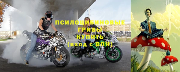 СК Арсеньев