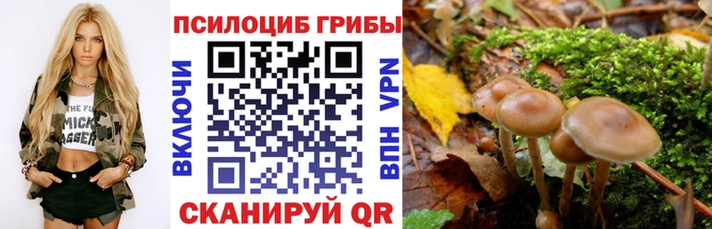 нарко площадка официальный сайт наркотики KRAKEN ONION Новый Оскол Псилоцибиновые грибы ЛСД